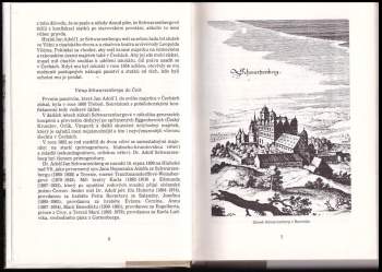 F. X Havlíček: Poslední na Hluboké