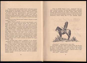 Zane Grey: Poslední prérijník