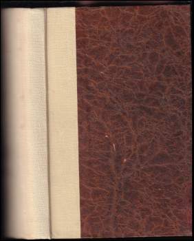 Poslední rytíř dánský