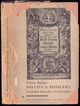 Postavy a problémy českého baroku literárního