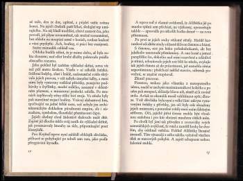 Karel Konrád: Postele bez nebes