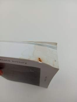 Homi K Bhabha: Postkoloniální myšlení III