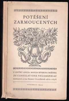 Potěšení zarmoucených