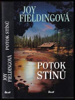 Joy Fielding: Potok stínů
