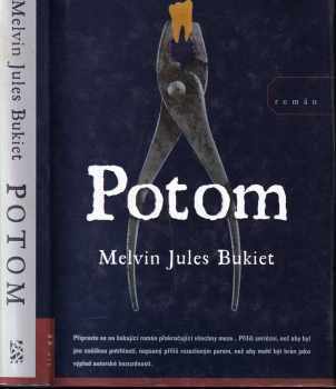 Melvin Jules Bukiet: Potom : román