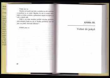 Richard Brautigan: Potrat: historická romance 1966