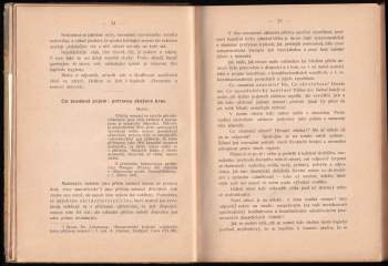 Heinrich Lahmann: Potravou zkažená krev (dysaemie) základní příčinou nemocí