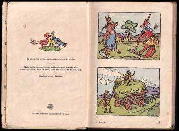 Marie Fischerová-Kvěchová: Poupata