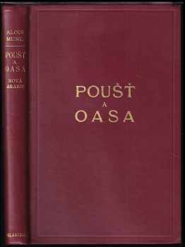 Poušť a oasa