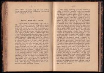 Jaroslav Sedlacek: Pouť do posvátných míst svaté země v Egyptě