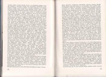 Vojtěch Volavka: Pouť Prahou