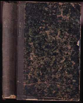 Pouť Slovanů do Říma ke dnu 5. července L.P. 1881