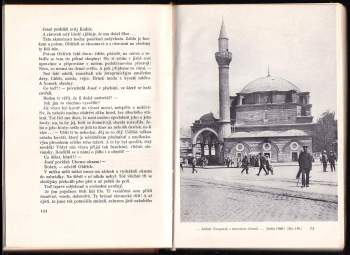 Géza Včelička: Poutníkův návrat