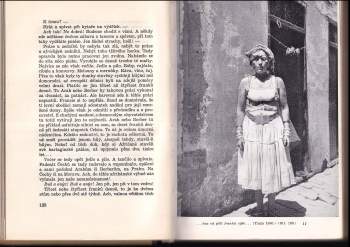 Géza Včelička: Poutníkův návrat