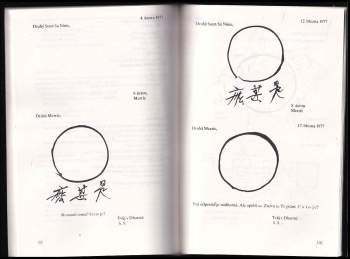 Sŭngsan Tä Sŏnsa: Pouze "nevím"