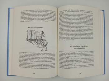 Jan Prchal: Pověsti z Vysočiny