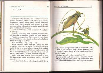 Rudo Moric: Povídala ježčí máma