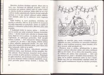 Jan Neruda: Povídky malostranské