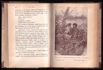 Émile Zola: Povídky Ninoně
