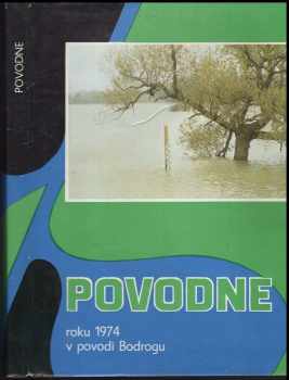 Povodne roku 1974 v povodí Bodrogu