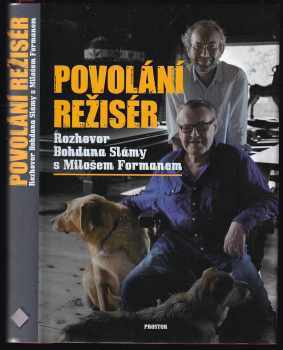 Povolání režisér