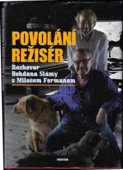 Povolání režisér