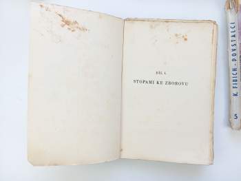 Karel Fibich: Povstalci