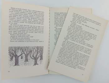 Tove Jansson: Pozdě v listopadu