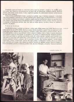 Ester Plicková: Pozdišovské hrnčiarstvo