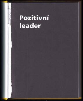 Jan Mühlfeit: Pozitivní leader