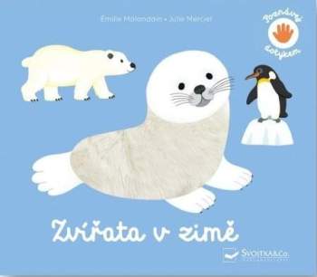 Zvířata v zimě