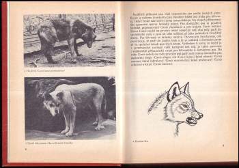 Vladimír Mikulica: Poznej svého psa