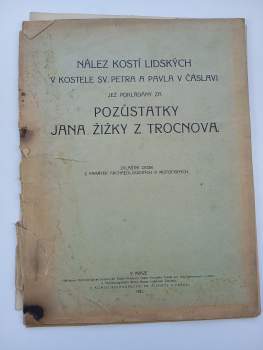 Pozůstatky Jana Žižky z Trocnova