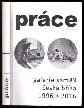 Práce - galerie sam83 česká bříza 1996>2016
