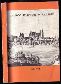 Práce muzea v Kolíně V