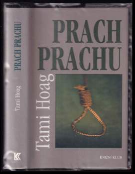 Prach prachu