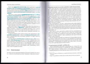 Eva Janečková: Pracovní právo a mateřství