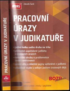 Pracovní úrazy ve vybrané judikatuře