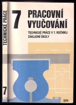 Pracovní vyučování