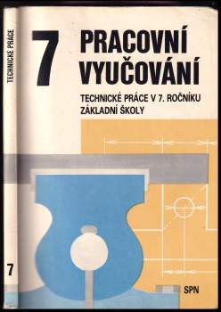 Pracovní vyučování