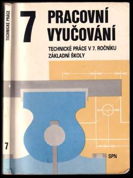 Pracovní vyučování