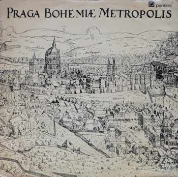 Kamil Bednář: Praga Bohemiæ Metropolis