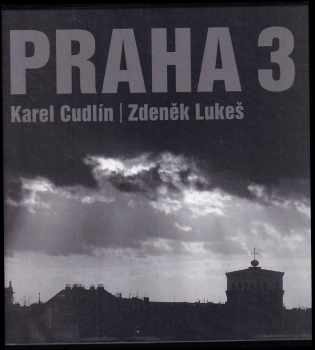 Zdeněk Lukeš: Praha 3 Symbol svobody a poezie skrytý v kontrastech