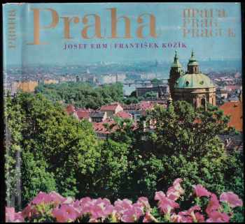 Praha v 80 barevných fotografiích