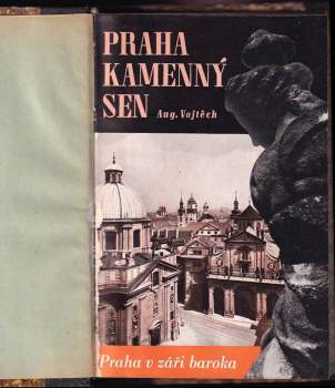 Erwin Lous Gustav Weill: Praha, kamenný sen