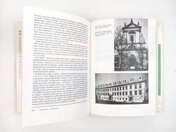 Emanuel Poche: Praha na úsvitu nových dějin