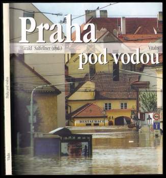 Praha pod vodou