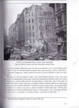 Michal Plavec: Praha v plamenech