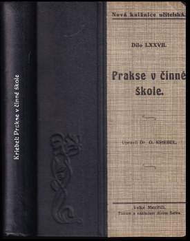 Prakse v činné škole