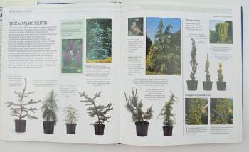 Sue Phillips: Praktická zahradní encyklopedie